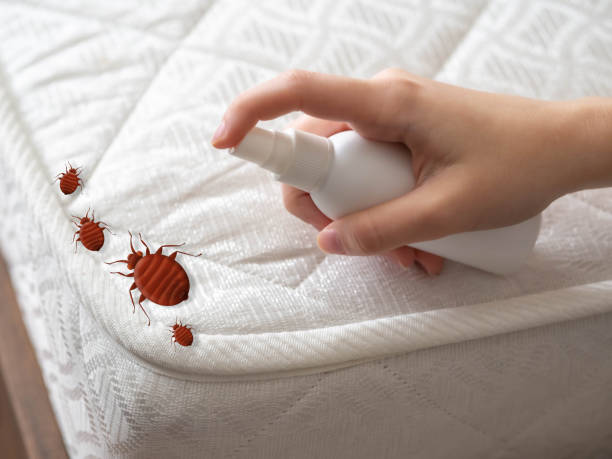 Professional Pest Control in Pullman, WA